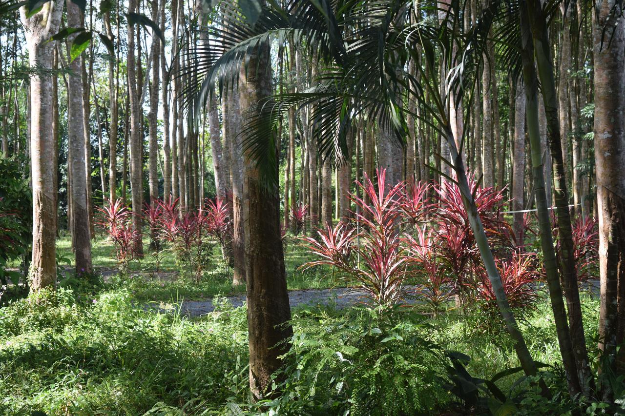 Manora Garden Hotel Phang Nga Eksteriør billede